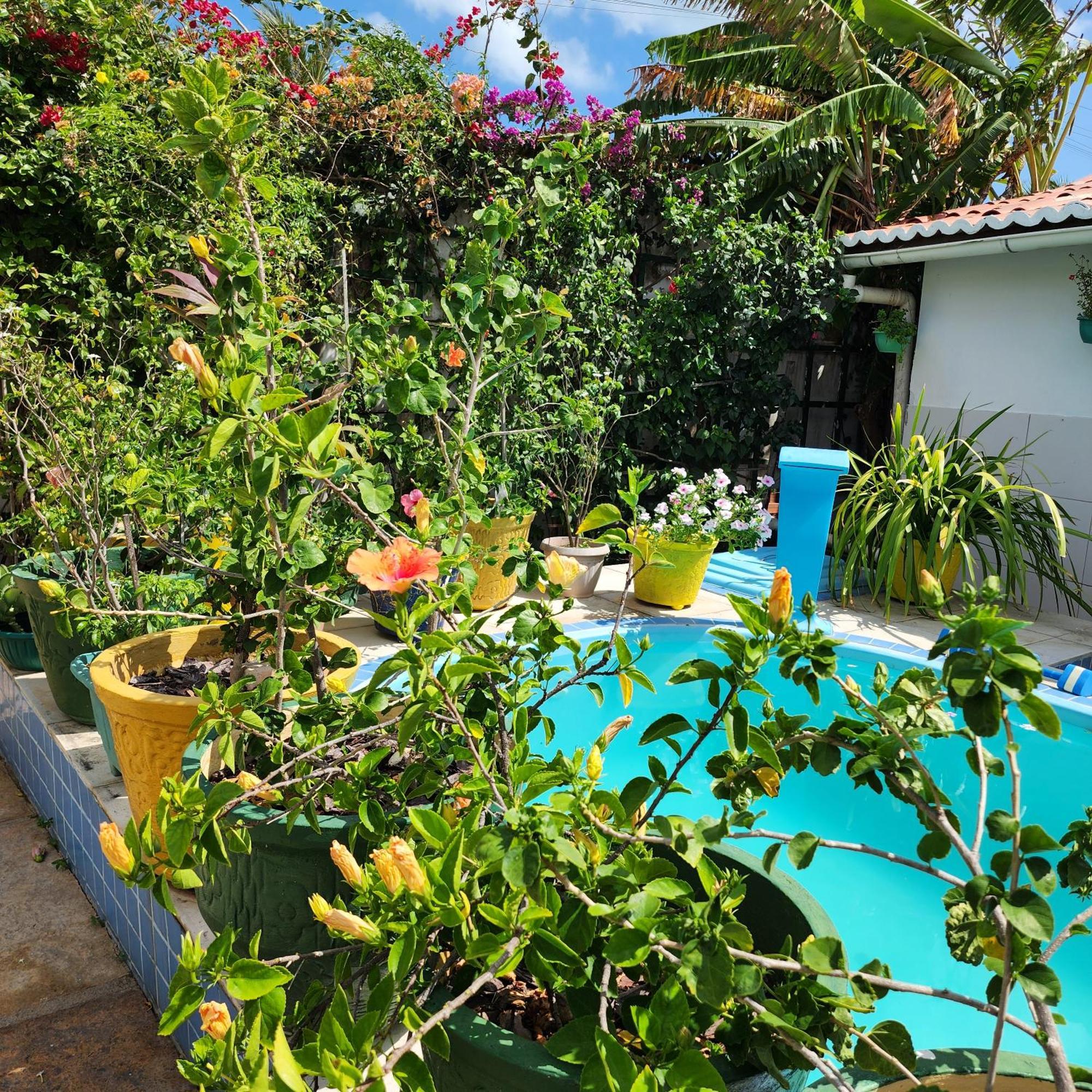 Mandala Dreams Pousada E Portal Holistico Maceió Exterior foto
