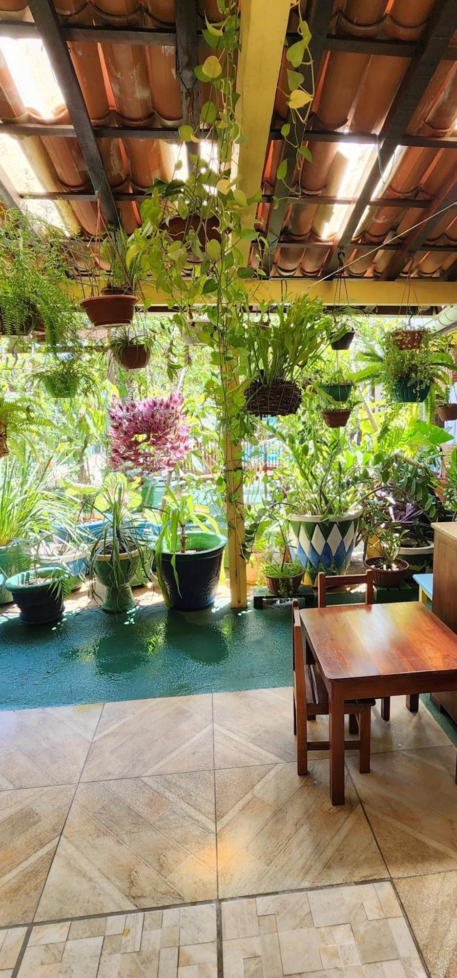 Mandala Dreams Pousada E Portal Holistico Maceió Exterior foto